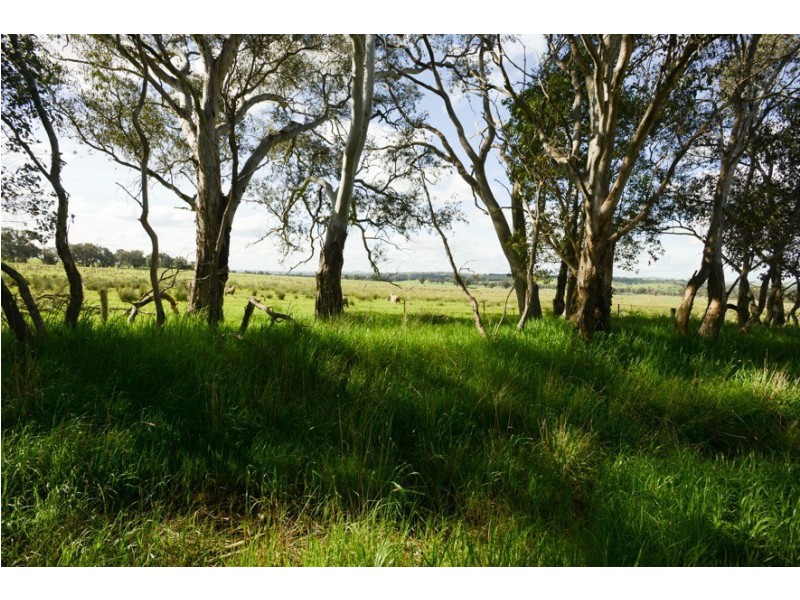 6/248 Back Brawlin Road, Cootamundra NSW 2590