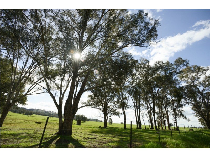 6/248 Back Brawlin Road, Cootamundra NSW 2590