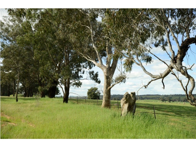 6/248 Back Brawlin Road, Cootamundra NSW 2590