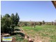789 Back Brawlin Road, Cootamundra NSW 2590