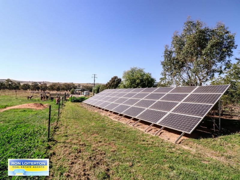 789 Back Brawlin Road, Cootamundra NSW 2590