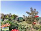 789 Back Brawlin Road, Cootamundra NSW 2590