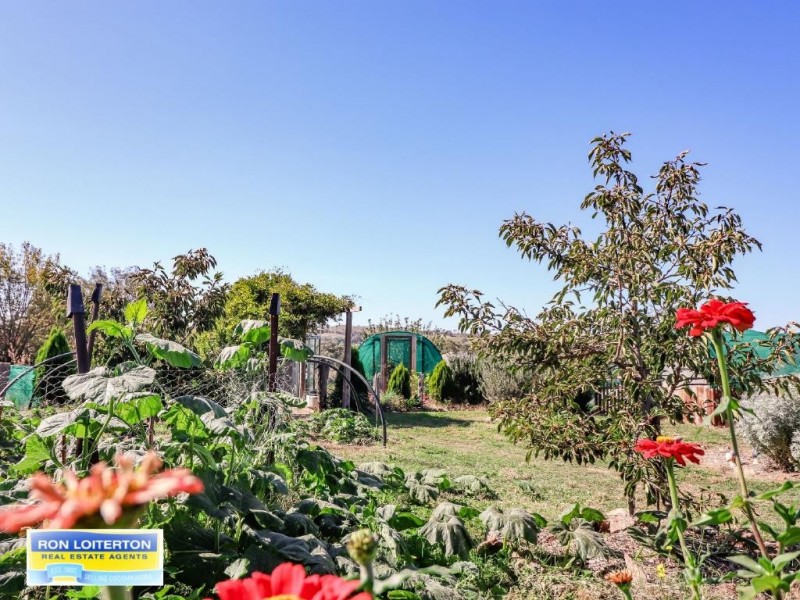 789 Back Brawlin Road, Cootamundra NSW 2590