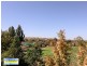 789 Back Brawlin Road, Cootamundra NSW 2590