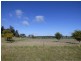 Lot 262 & 263 Burley Griffin Way, Wallendbeen NSW 2588