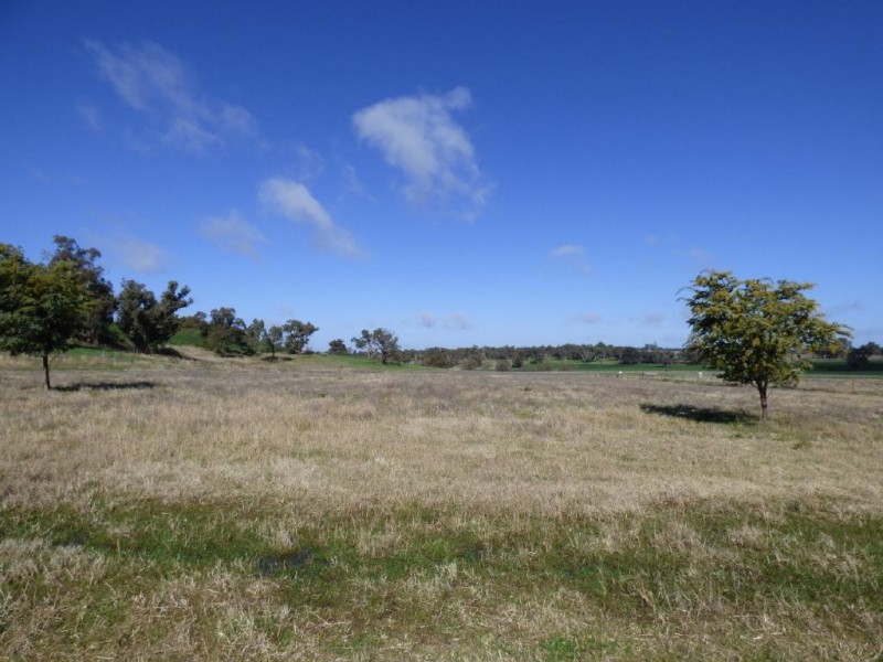 Lot 262 & 263 Burley Griffin Way, Wallendbeen NSW 2588