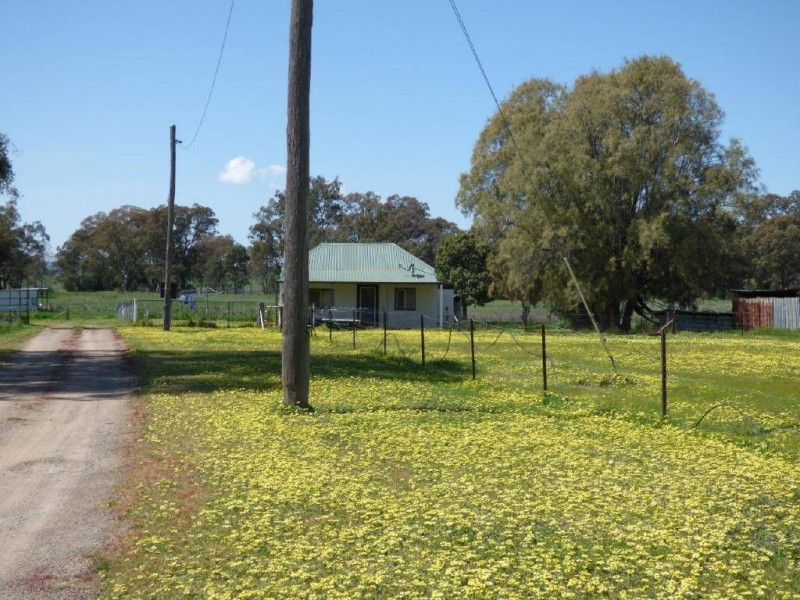 14 Hoskins Street, Stockinbingal NSW 2725