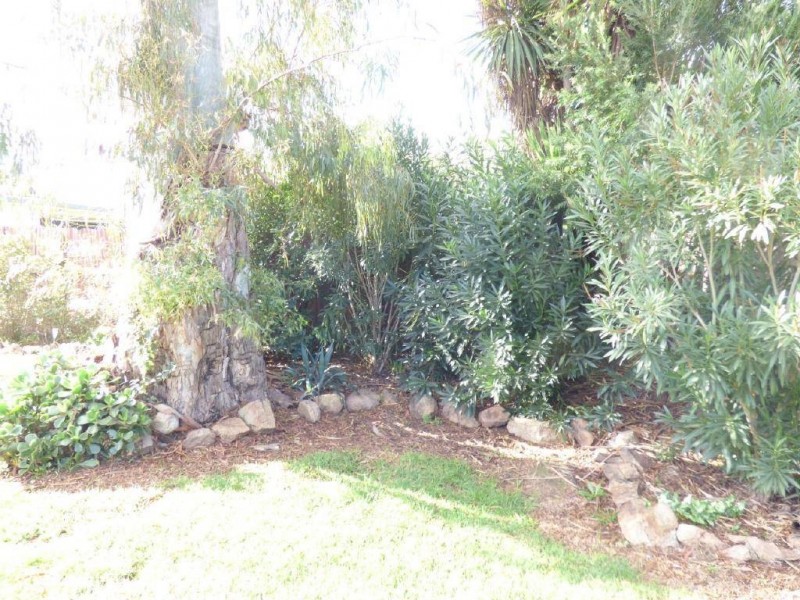 38 Warren Street, Cootamundra NSW 2590