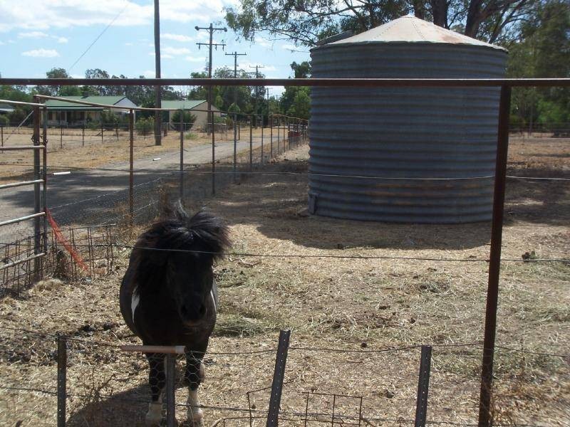 14 Hoskins Street, Stockinbingal NSW 2725