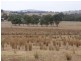 83 Nash’s Lane, Cootamundra NSW 2590