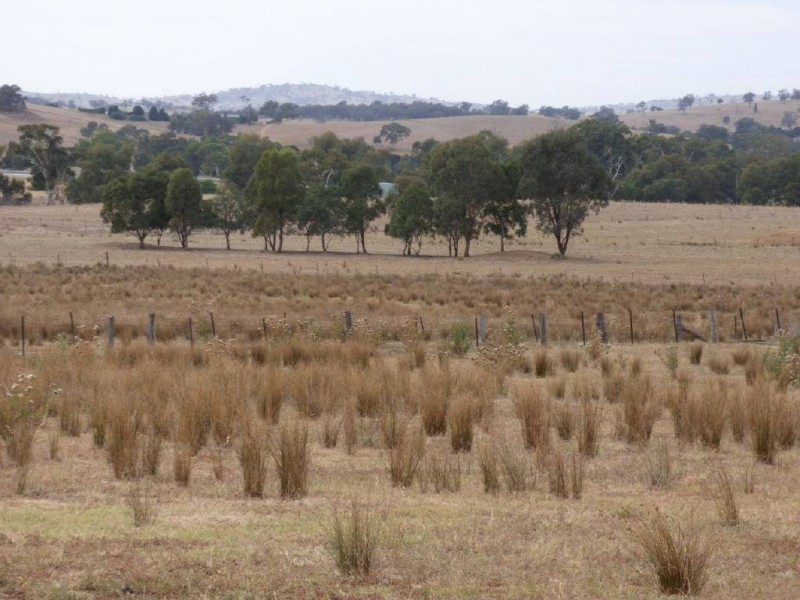 83 Nash’s Lane, Cootamundra NSW 2590