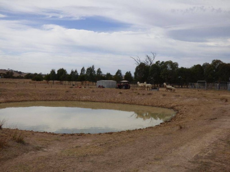 83 Nash’s Lane, Cootamundra NSW 2590