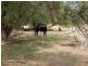 83 Nash’s Lane, Cootamundra NSW 2590