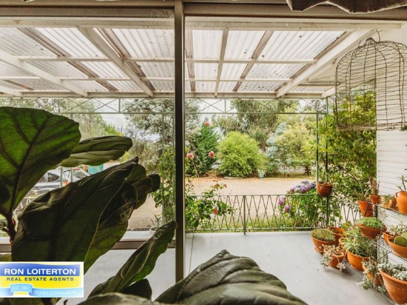 Cootamundra NSW 2590