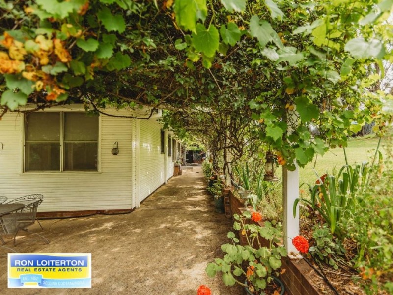 Cootamundra NSW 2590