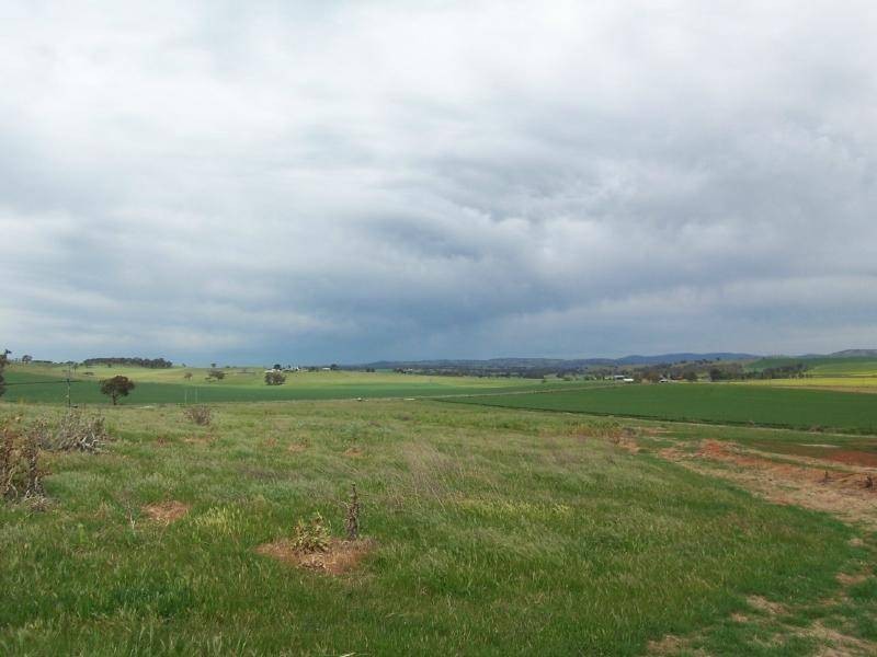 Lot 3 Ryan’s Lane, Cootamundra NSW 2590