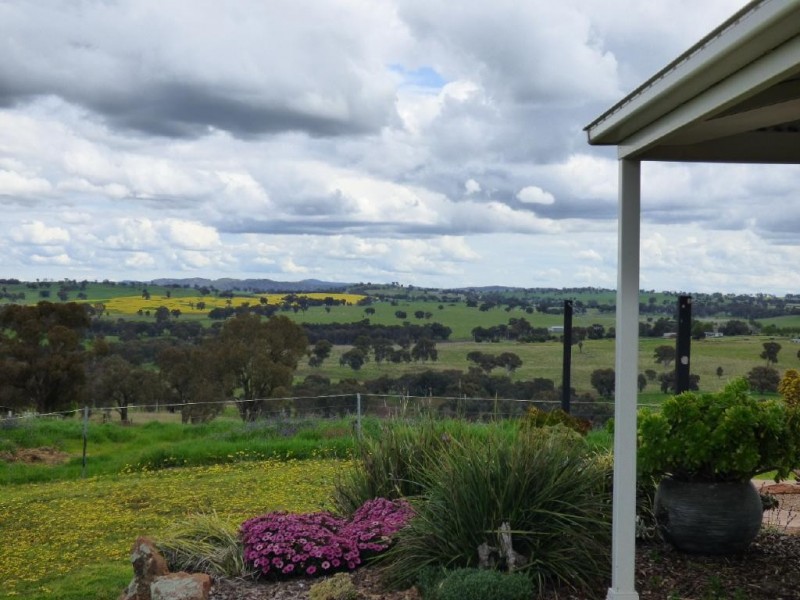 Cootamundra NSW 2590