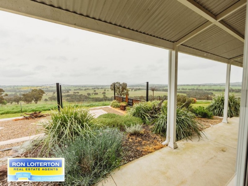 Cootamundra NSW 2590