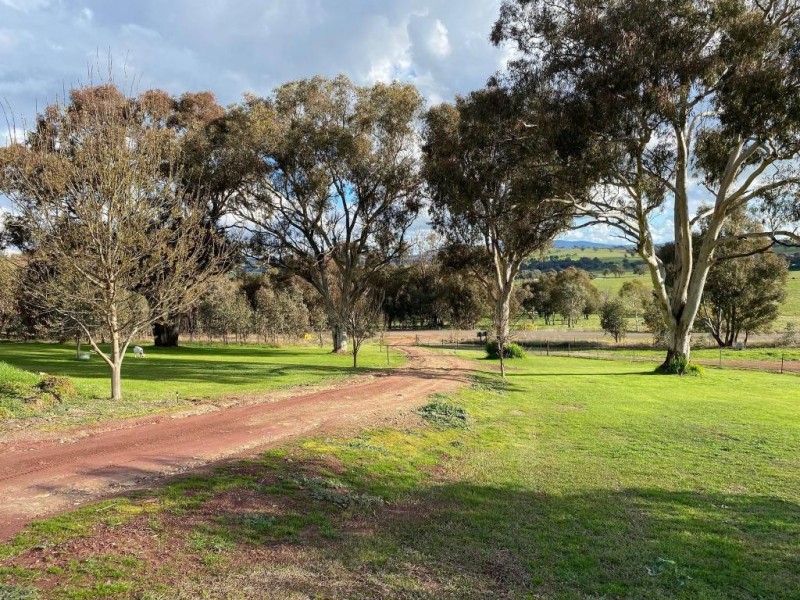 172 Old Cootamundra Road, Cootamundra NSW 2590