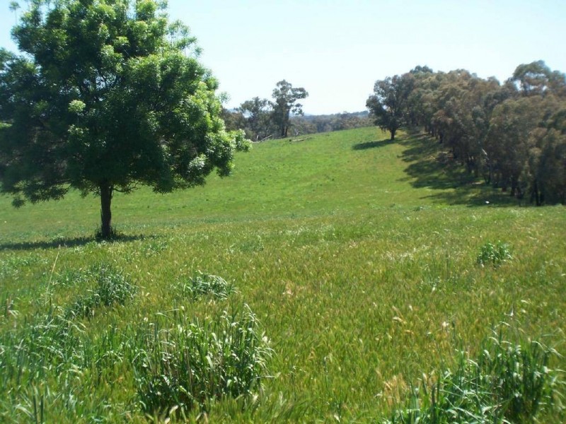 Lot 5 Muttama Road, Cootamundra NSW 2590