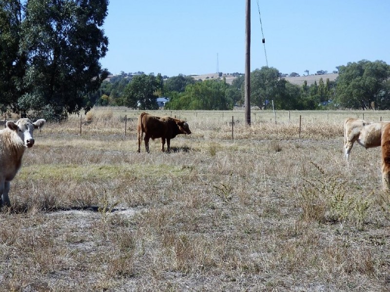 18 Nashs Lane, Cootamundra NSW 2590
