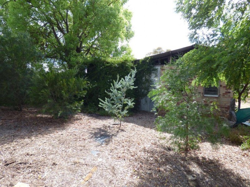 6 Pinkerton Lane, Cootamundra NSW 2590