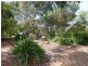 6 Pinkerton Lane, Cootamundra NSW 2590