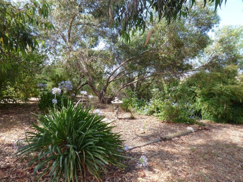 6 Pinkerton Lane, Cootamundra NSW 2590