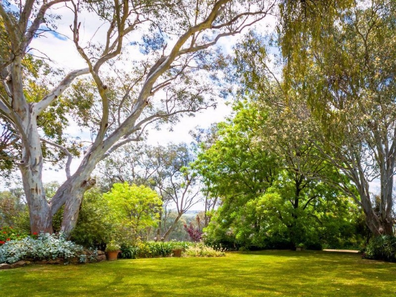 634 Back Brawlin Road, Cootamundra NSW 2590