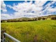 634 Back Brawlin Road, Cootamundra NSW 2590