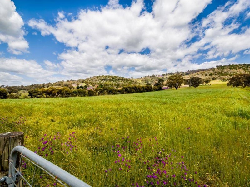 634 Back Brawlin Road, Cootamundra NSW 2590