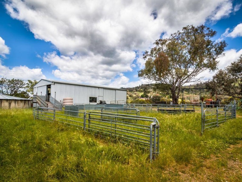 634 Back Brawlin Road, Cootamundra NSW 2590
