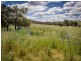 634 Back Brawlin Road, Cootamundra NSW 2590