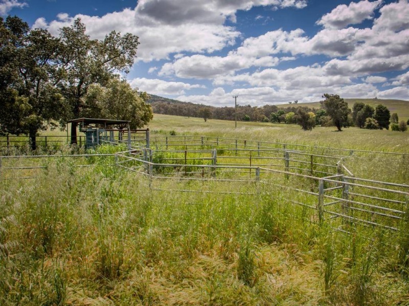 634 Back Brawlin Road, Cootamundra NSW 2590