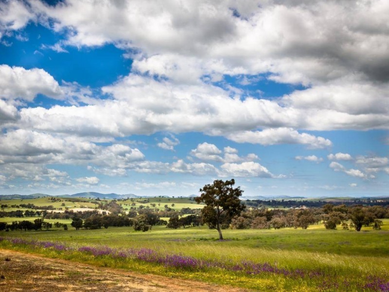 634 Back Brawlin Road, Cootamundra NSW 2590