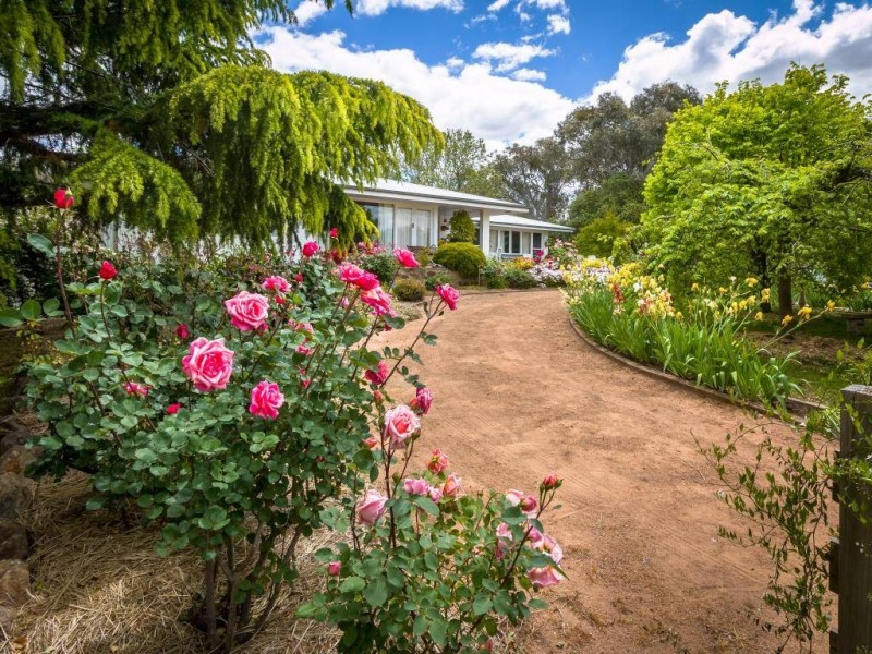 634 Back Brawlin Road, Cootamundra NSW 2590