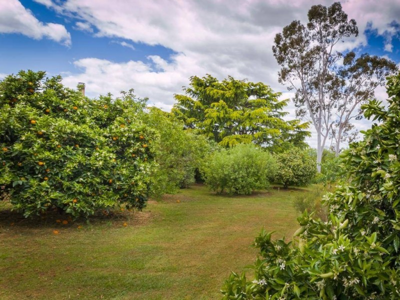 634 Back Brawlin Road, Cootamundra NSW 2590
