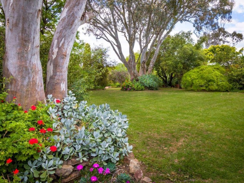 634 Back Brawlin Road, Cootamundra NSW 2590