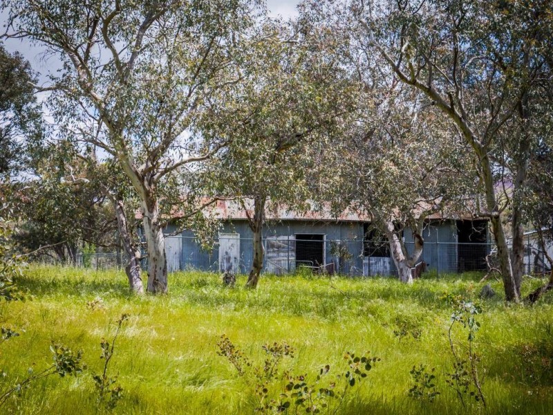 634 Back Brawlin Road, Cootamundra NSW 2590