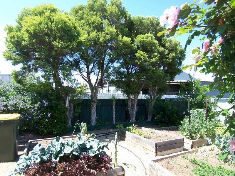 118 Thompson Street, Cootamundra NSW 2590
