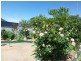 118 Thompson Street, Cootamundra NSW 2590