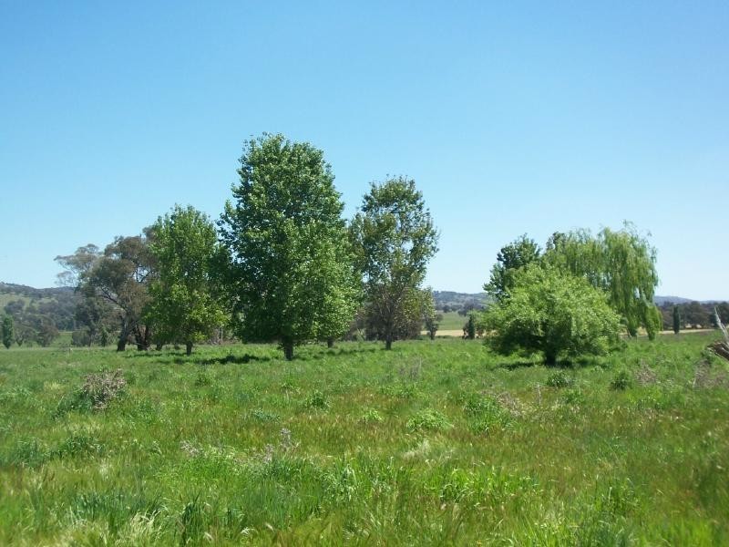 Lot 6 Gundagai Road, Cootamundra NSW 2590