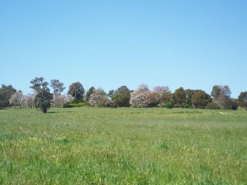Lot 6 Gundagai Road, Cootamundra NSW 2590