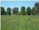 Lot 6 Gundagai Road, Cootamundra NSW 2590