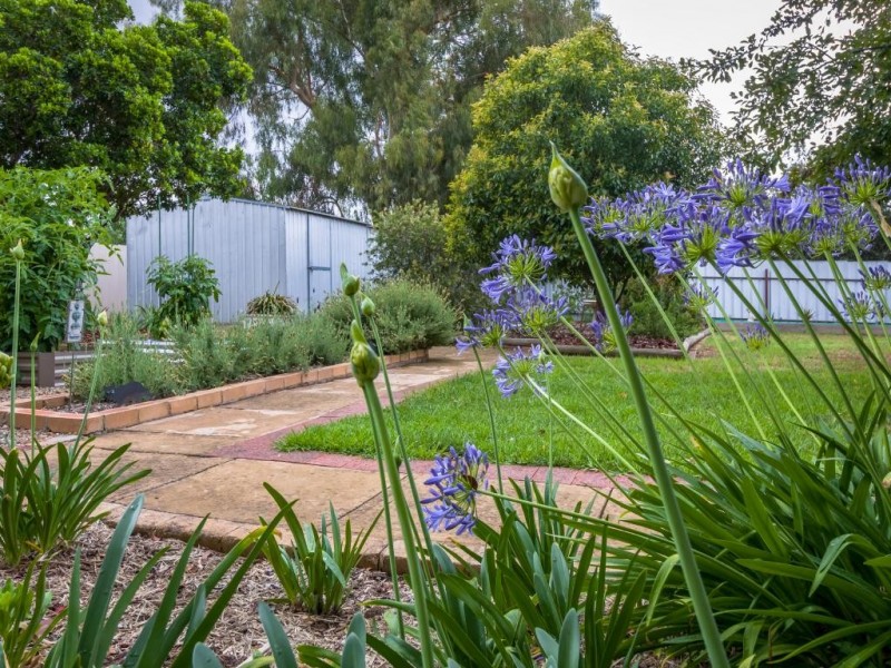 11 Dickson Street, Cootamundra NSW 2590