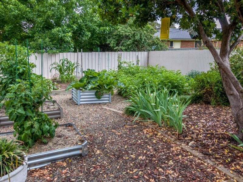 11 Dickson Street, Cootamundra NSW 2590