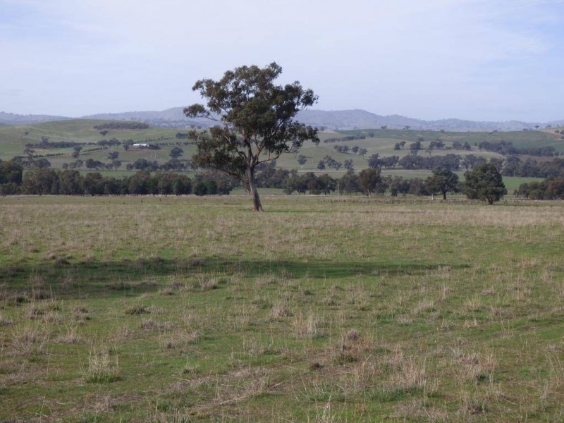 676 Back Brawlin Road, Cootamundra NSW 2590