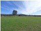 676 Back Brawlin Road, Cootamundra NSW 2590