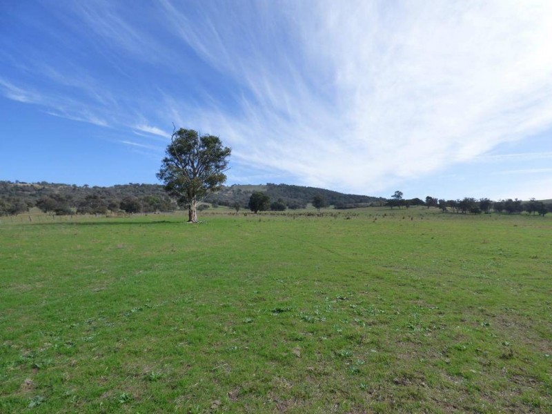 676 Back Brawlin Road, Cootamundra NSW 2590