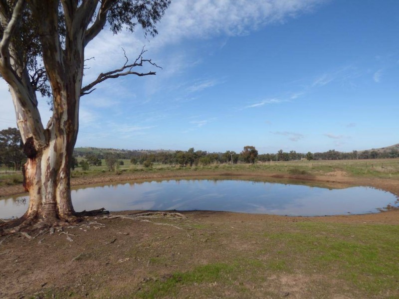 676 Back Brawlin Road, Cootamundra NSW 2590